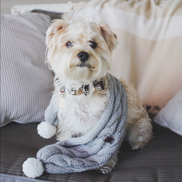 UGG Other - UGG Dog Winter Knitted Pet Scarf Holiday Christmas